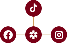 Draw in collaborations - MoboTree